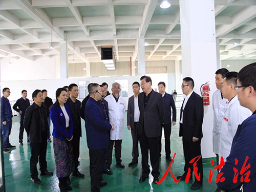 开云在线登录